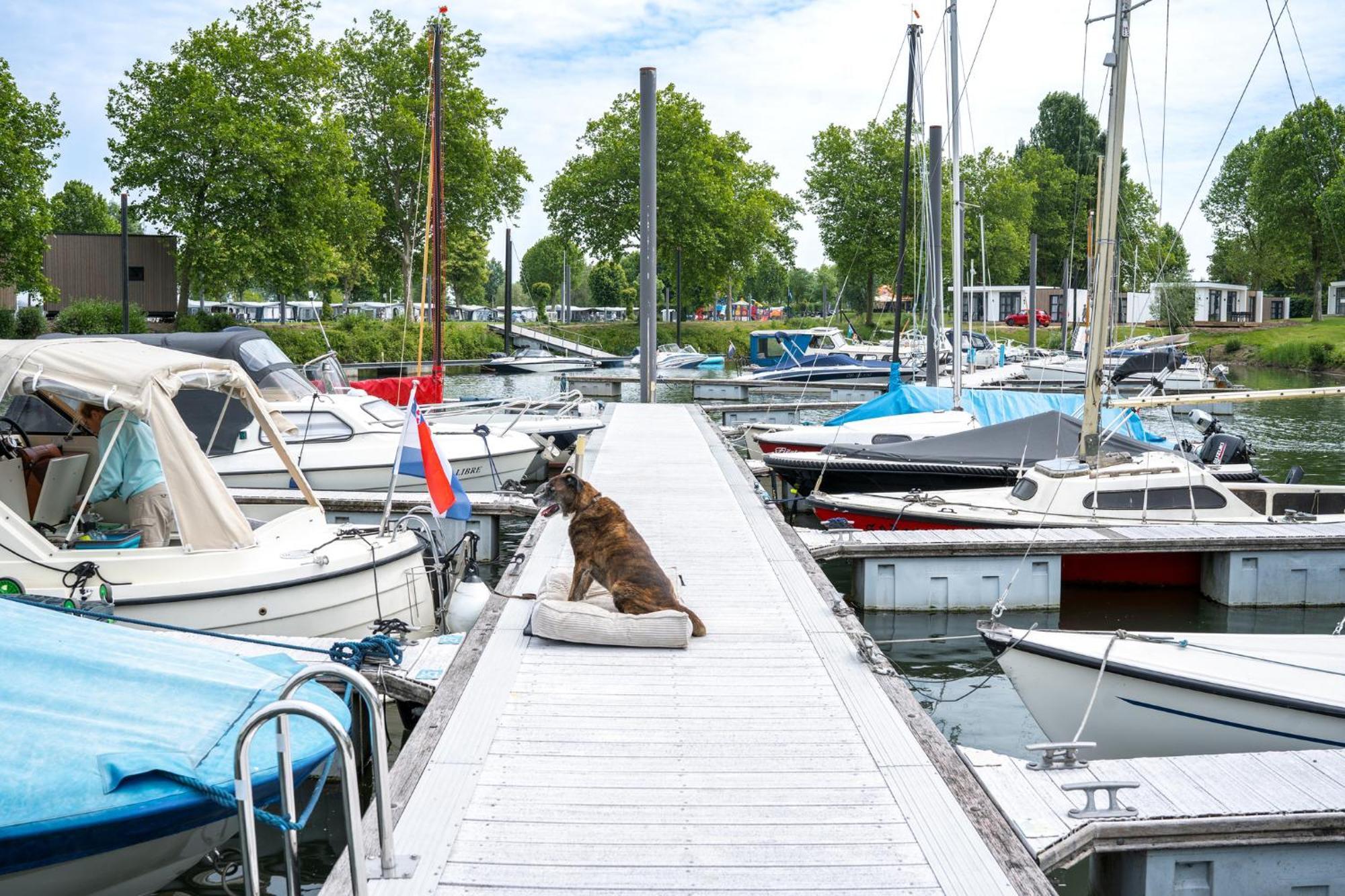 Marinapark Bad Nederrijn Hotel Maurik Luaran gambar